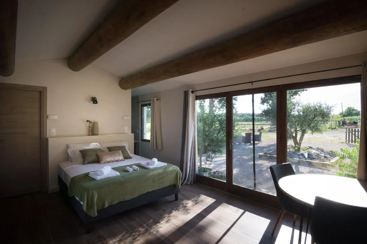Guest house B&B Maison D'Hote Et Gite Mas D'Eymard Arles